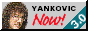 Yankovic Now!  ver 3